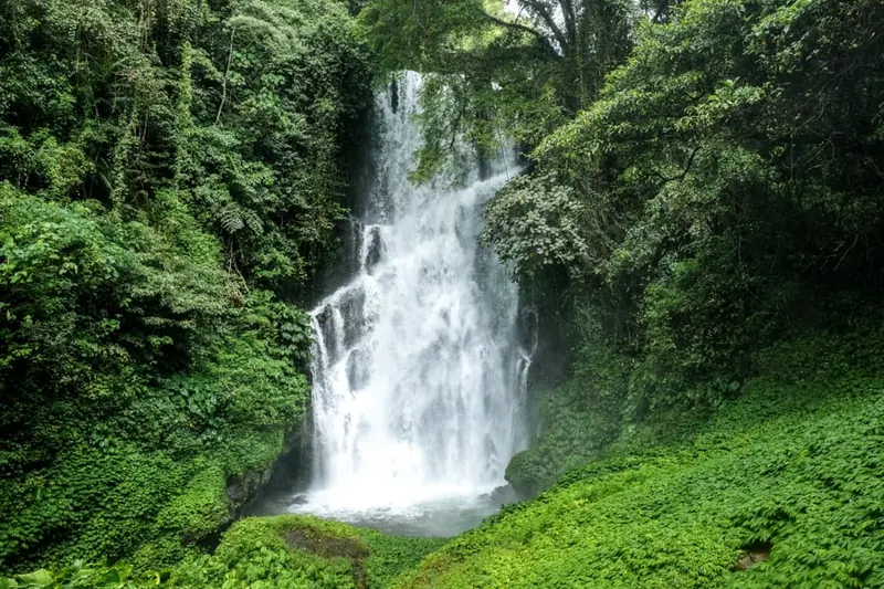 Bali landscape inspiration for a personalised private tour